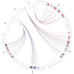 iso-IMRS distribution on Plasmodium genome