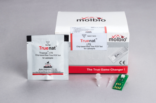 IMRS distribution on Plasmodium genome